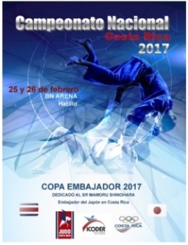 afiche de la Copa