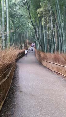 viaje a kyoto