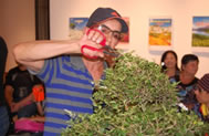 Demostración de bonsai
