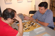 Taller de go