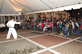 Demostración de Karate