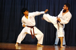(Demostración de Karate)