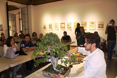 bonsai