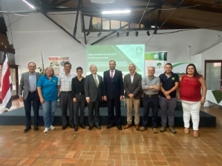 participantes