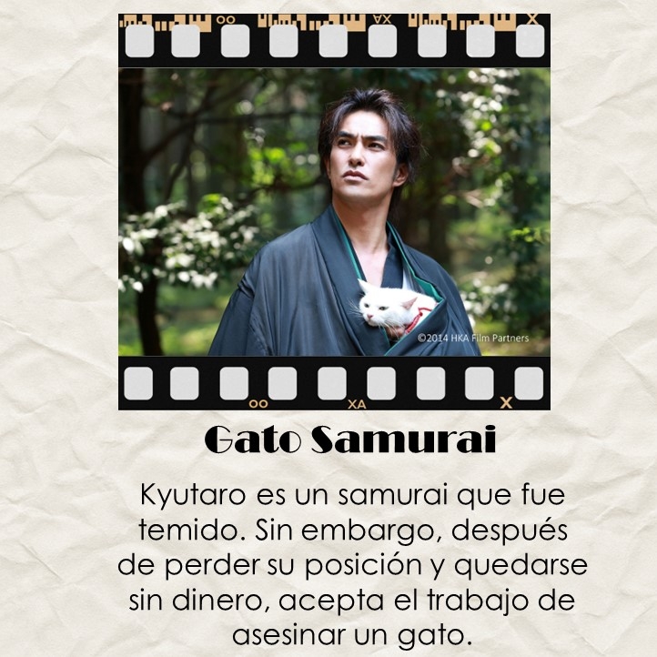 gato samurai