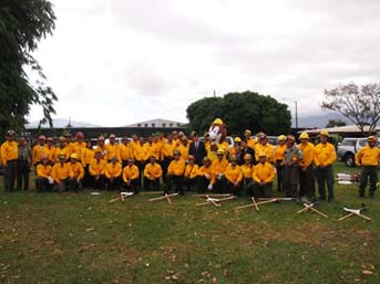 participantes