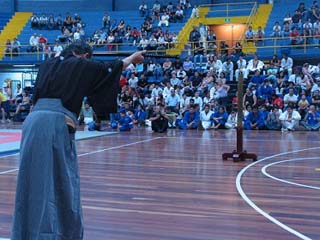 demostración de kobudo