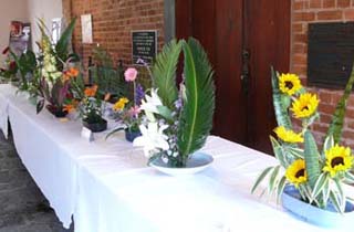 exposición de ikebana