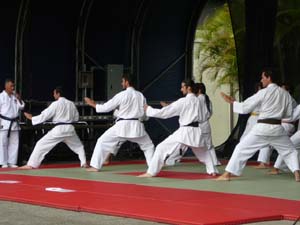 Demostración de karate